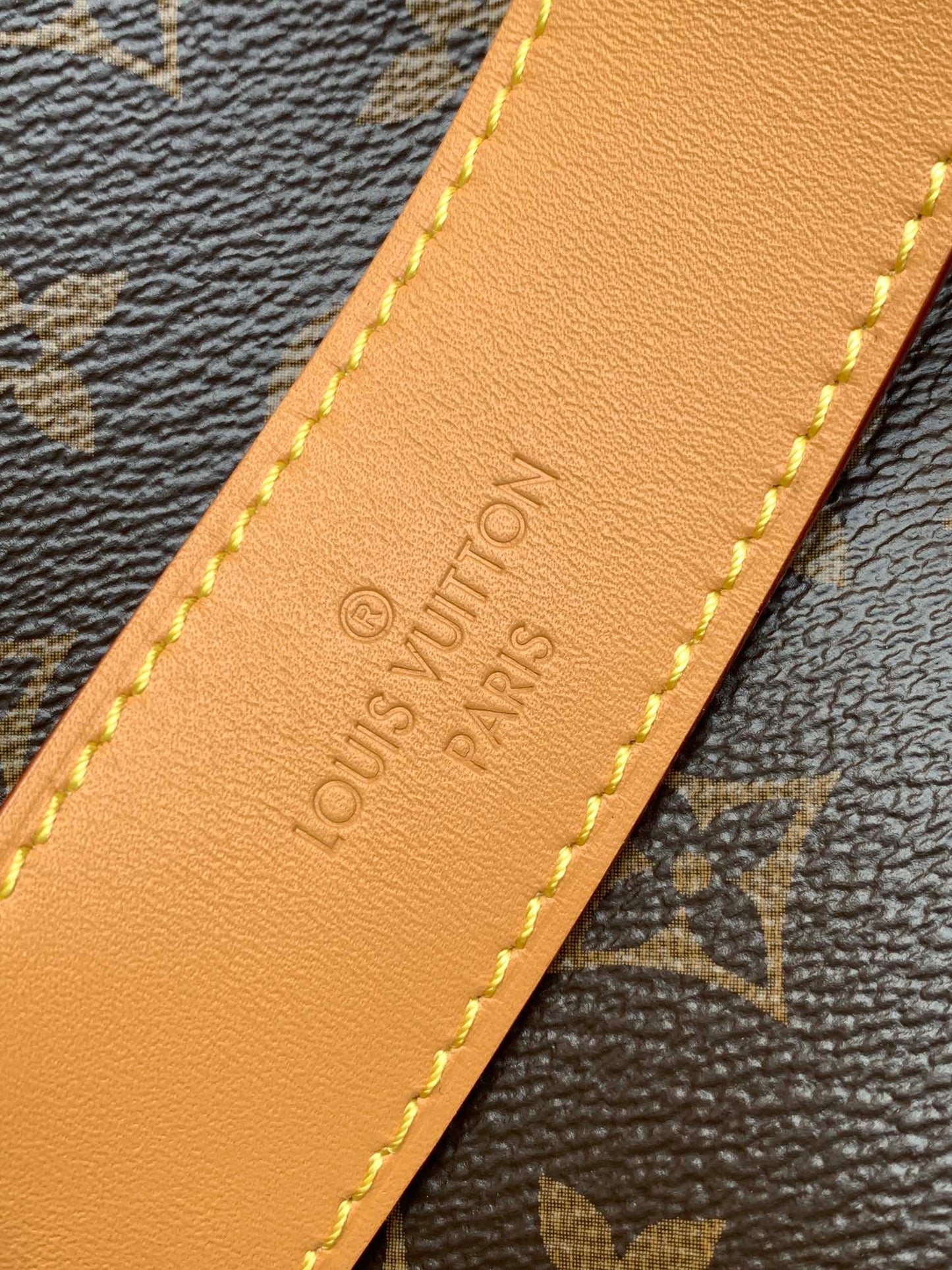 LUXR11